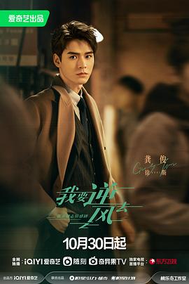 seo优化哪些项目